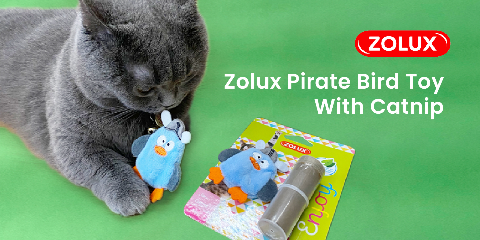 Dusty with Zolux pirate bird catnip toy
